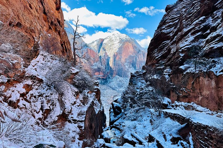 Zion National Park: Private Guided Hike & Picnic - Photo 1 of 10